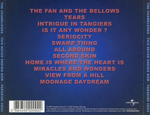 Carica l'immagine nel visualizzatore di Gallery, The Chameleons : This Never Ending Now (CD, Album)
