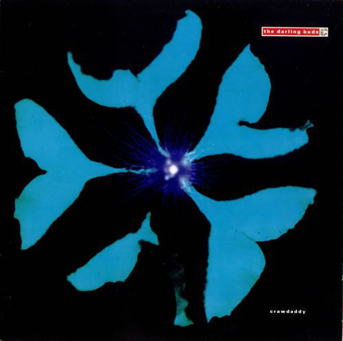 The Darling Buds : Crawdaddy (LP, Album)