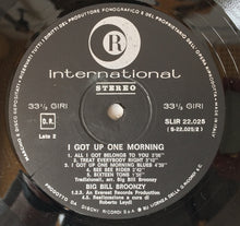 Carica l&#39;immagine nel visualizzatore di Gallery, Big Bill Broonzy : I Got Up One Morning (LP, Album)
