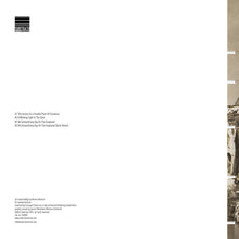 Carica l&#39;immagine nel visualizzatore di Gallery, Dorian Gray (14) : An Extraordinary Day On The Exoplanet (12&quot;)
