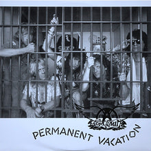 Carica l&#39;immagine nel visualizzatore di Gallery, Aerosmith : Permanent Vacation (LP, Album, RE, 180)
