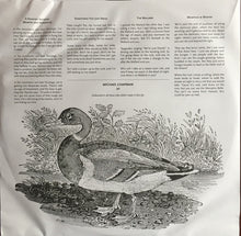 Carica l&#39;immagine nel visualizzatore di Gallery, Michael Chapman (2) : 50 (LP, Album)
