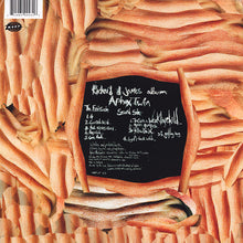 Carica l&#39;immagine nel visualizzatore di Gallery, Aphex Twin : Richard D. James Album (LP, Album, RE, 180)
