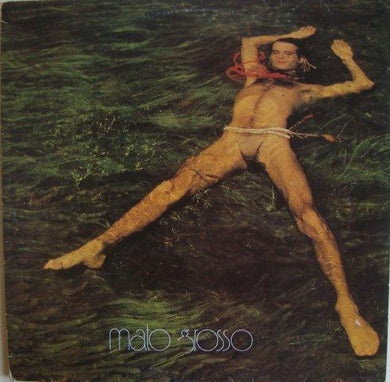 Ney Matogrosso : Mato Grosso (LP, Album)