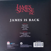 Carica l&#39;immagine nel visualizzatore di Gallery, James Senese, James&#39; Napoli Centrale : James Is Back (LP)
