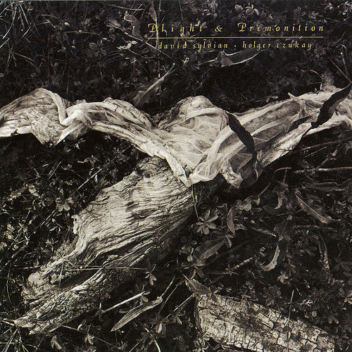 David Sylvian + Holger Czukay : Plight & Premonition (LP, Album)