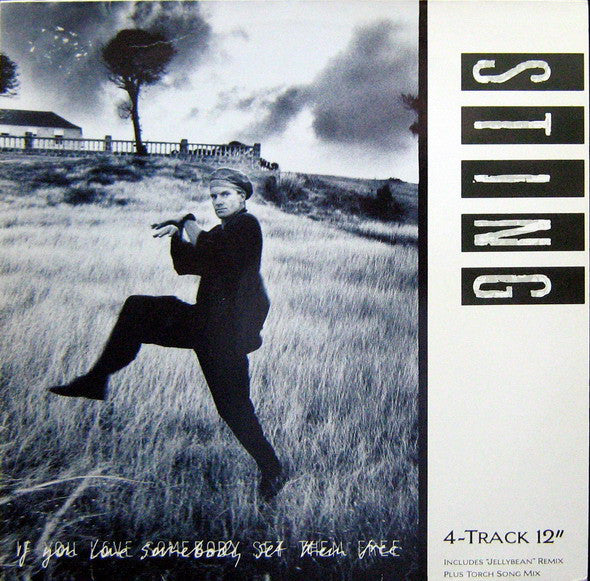 Sting : If You Love Somebody Set Them Free (12