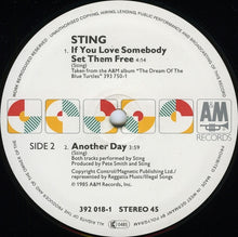 Carica l&#39;immagine nel visualizzatore di Gallery, Sting : If You Love Somebody Set Them Free (12&quot;, Maxi)
