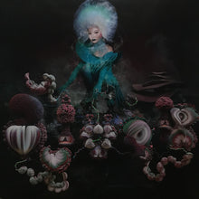 Carica l&#39;immagine nel visualizzatore di Gallery, Björk : Fossora (2xLP, Album, Gat)
