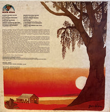 Carica l&#39;immagine nel visualizzatore di Gallery, Roosevelt Sykes : The Honeydripper&#39;s Duke&#39;s Mixture (LP, Album, RE)
