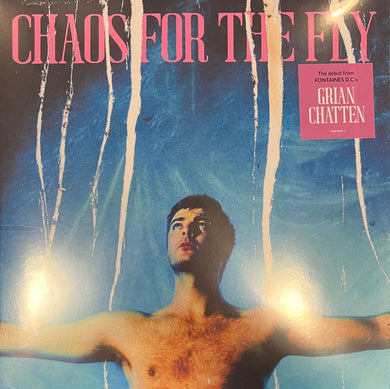 Grian Chatten : Chaos For The Fly (LP, Album)