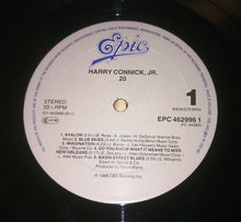 Carica l&#39;immagine nel visualizzatore di Gallery, Harry Connick, Jr. : 20 (LP, Album)
