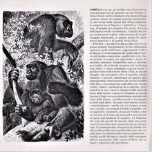 Carica l&#39;immagine nel visualizzatore di Gallery, Gino Paoli : King Kong (CD, Album)
