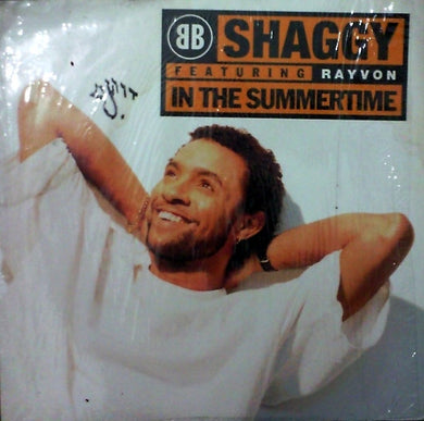 Shaggy Featuring Rayvon : In The Summertime (12