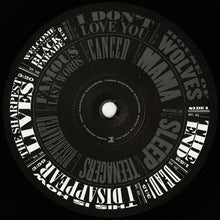 Carica l&#39;immagine nel visualizzatore di Gallery, My Chemical Romance : The Black Parade  (LP + LP, S/Sided, Etch + Album, RE)
