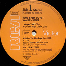 Carica l&#39;immagine nel visualizzatore di Gallery, Wallenstein : Blue Eyed Boys (LP, Album)
